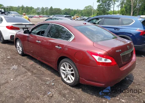 2010 Nissan Maxima 3.5 Sv z USA, uszkodzony, nr VIN 1N4AA5AP9AC802188